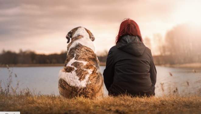 “No Dogs Allowed” and Other Hurdles Before the ADA