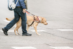 How to Manage Service Animals in the Workplace